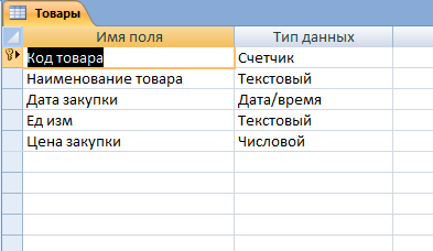 Скачать базу данных (БД) «Оптовый магазин. Учет продаж товара» MS Access