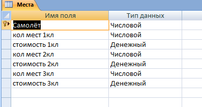 Скачать базу данных Access «Продажа авиабилетов». Таблица "Места"